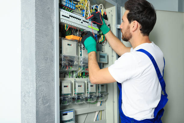 Best Electric Panel Repair  in Tchula, MS